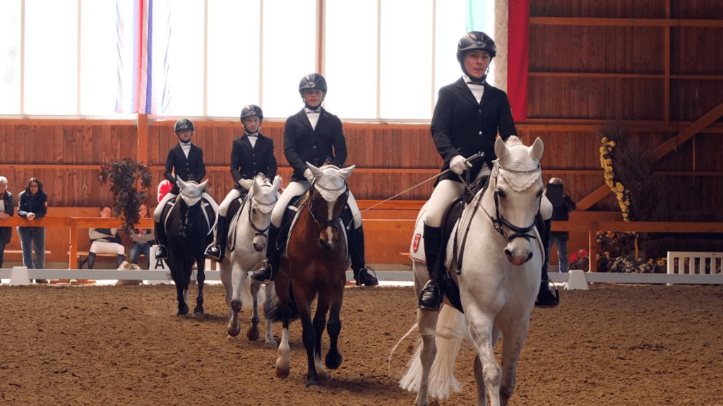 Equestrian Sports Trust, Training, and Global Competitions