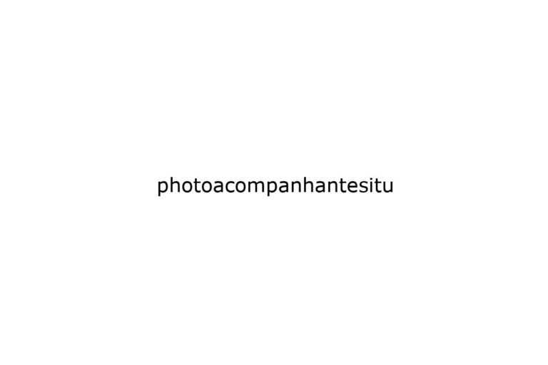 photoacompanhantesitu