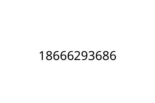 18666293686