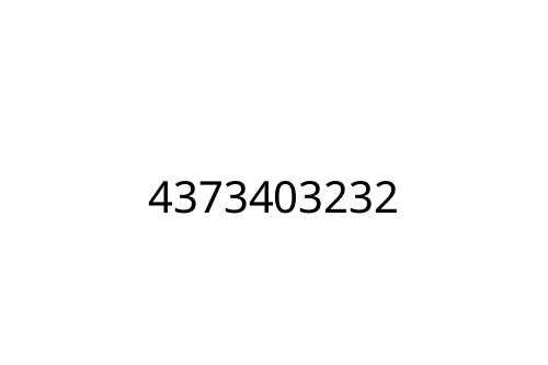 4373403232