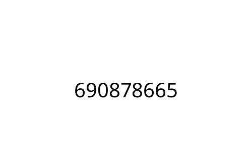 690878665