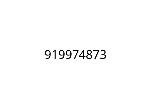 919974873