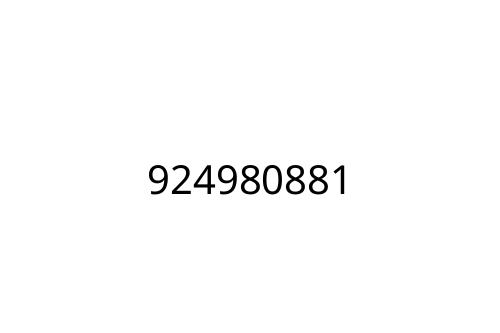 924980881