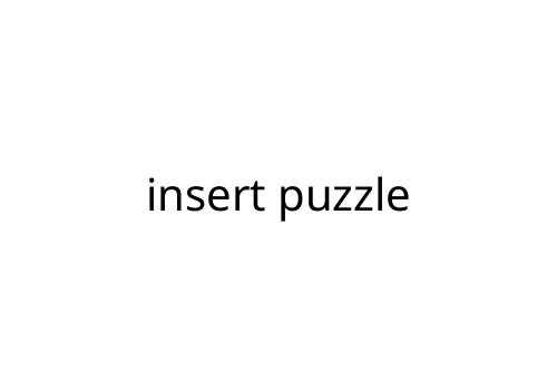 insert puzzle