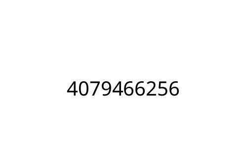 4079466256