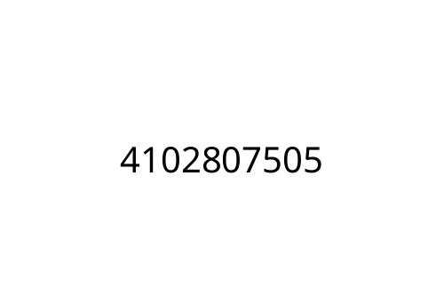 4102807505