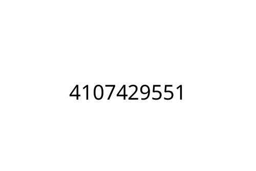 4107429551