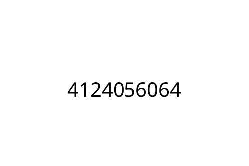 4124056064