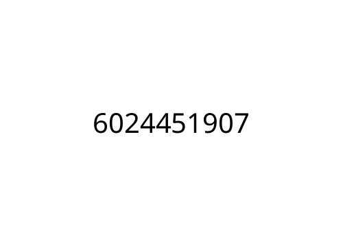 6024451907