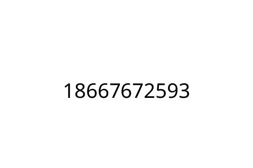 18667672593
