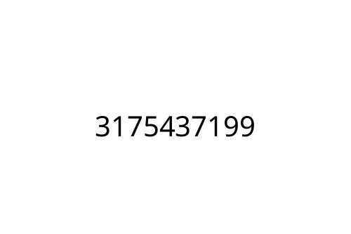 3175437199
