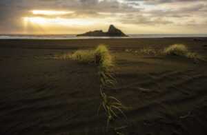 gander mountain gift cards still good