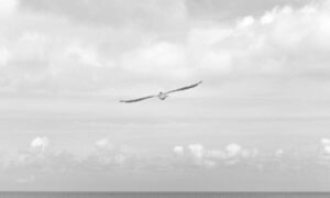 5 advantages of darkwarfall gaming