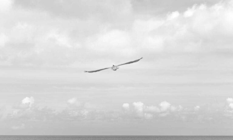 5 advantages of darkwarfall gaming