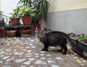 how endbugflow software can be protected