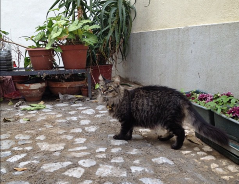 how endbugflow software can be protected