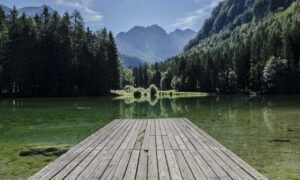 to find yr-ws486rp-gtr