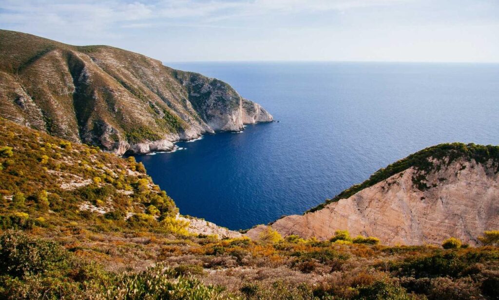 zydaisis disease which foods to avoid