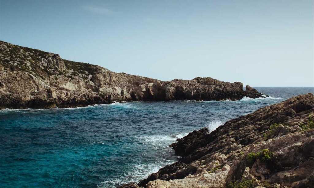 how to find sadatoaf ingredients