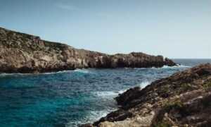 how to find sadatoaf ingredients