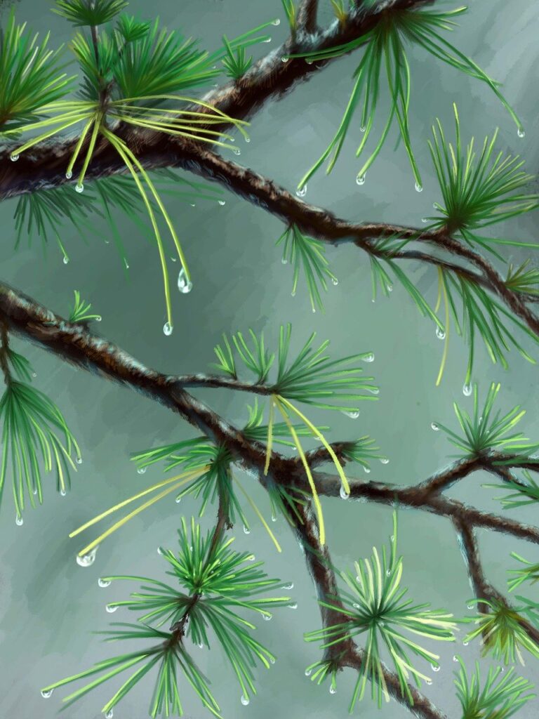 moxhit4.6.1 software testing