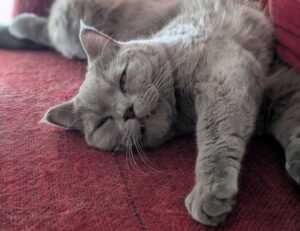 problem on computer 8379xnbs8e02328ws