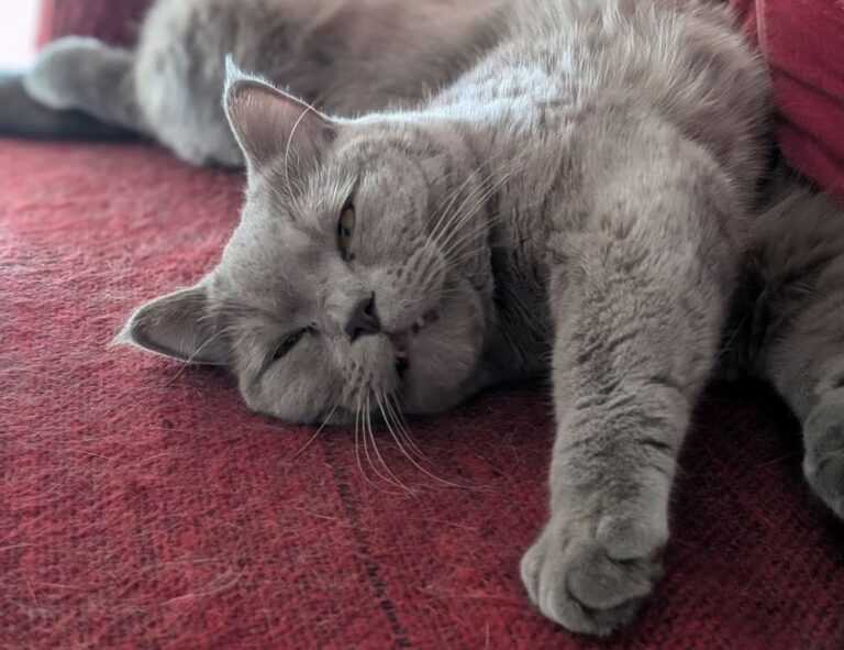 problem on computer 8379xnbs8e02328ws