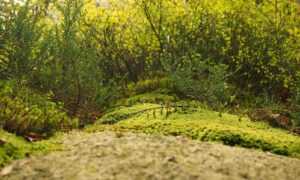 returnalgirl version4.4