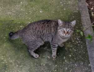 what zayepro pharmaceuticals ltd about