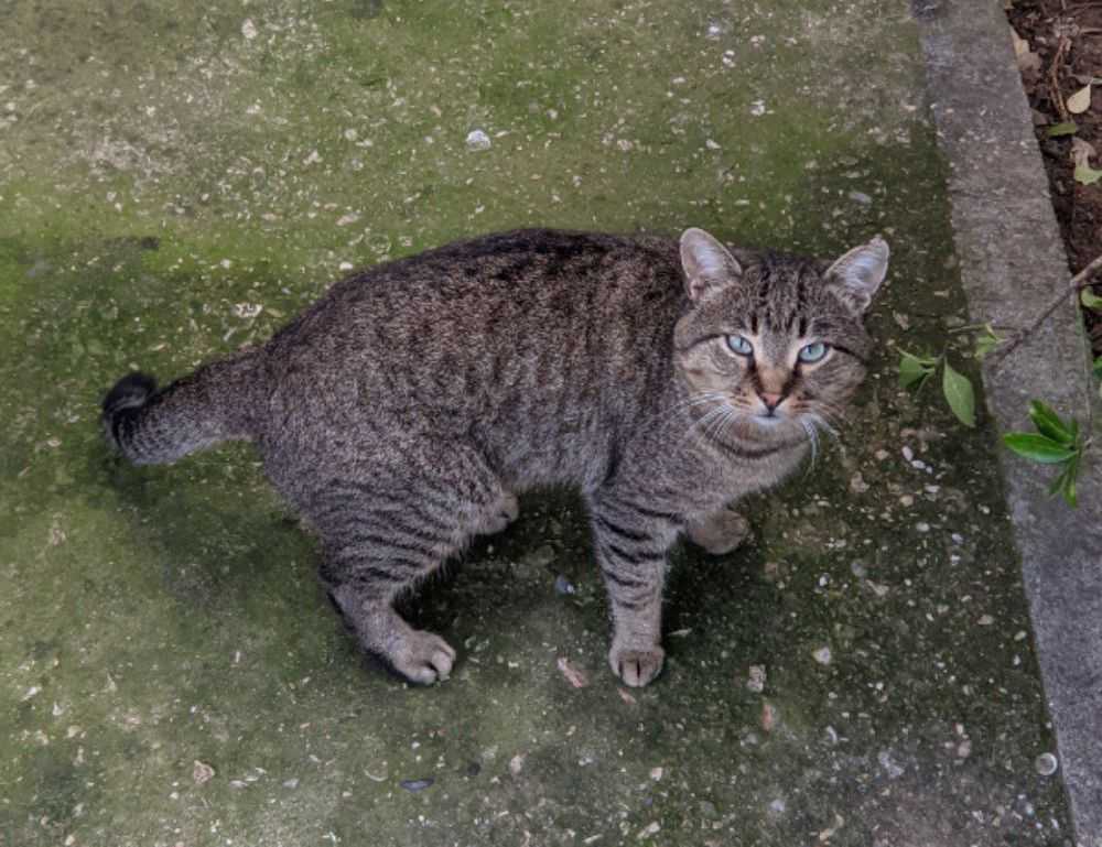 what zayepro pharmaceuticals ltd about