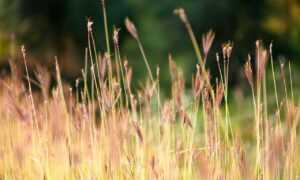 why i can't run warepad0.2 code