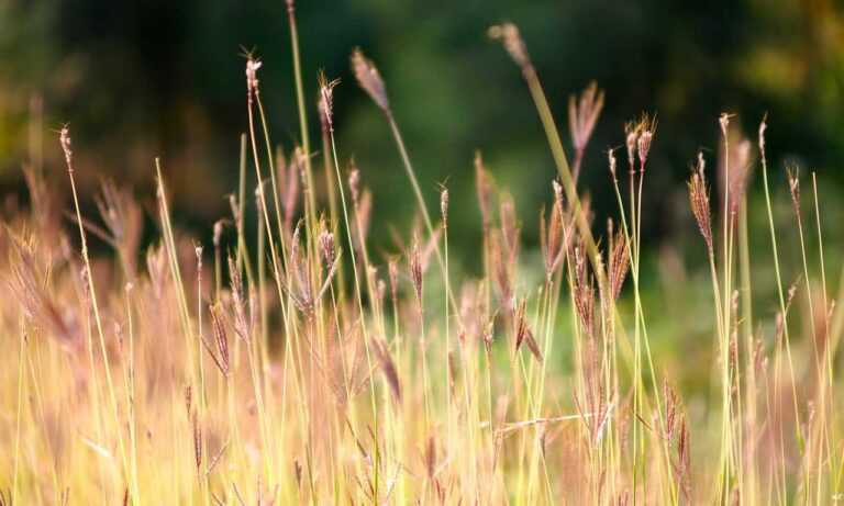 why i can't run warepad0.2 code