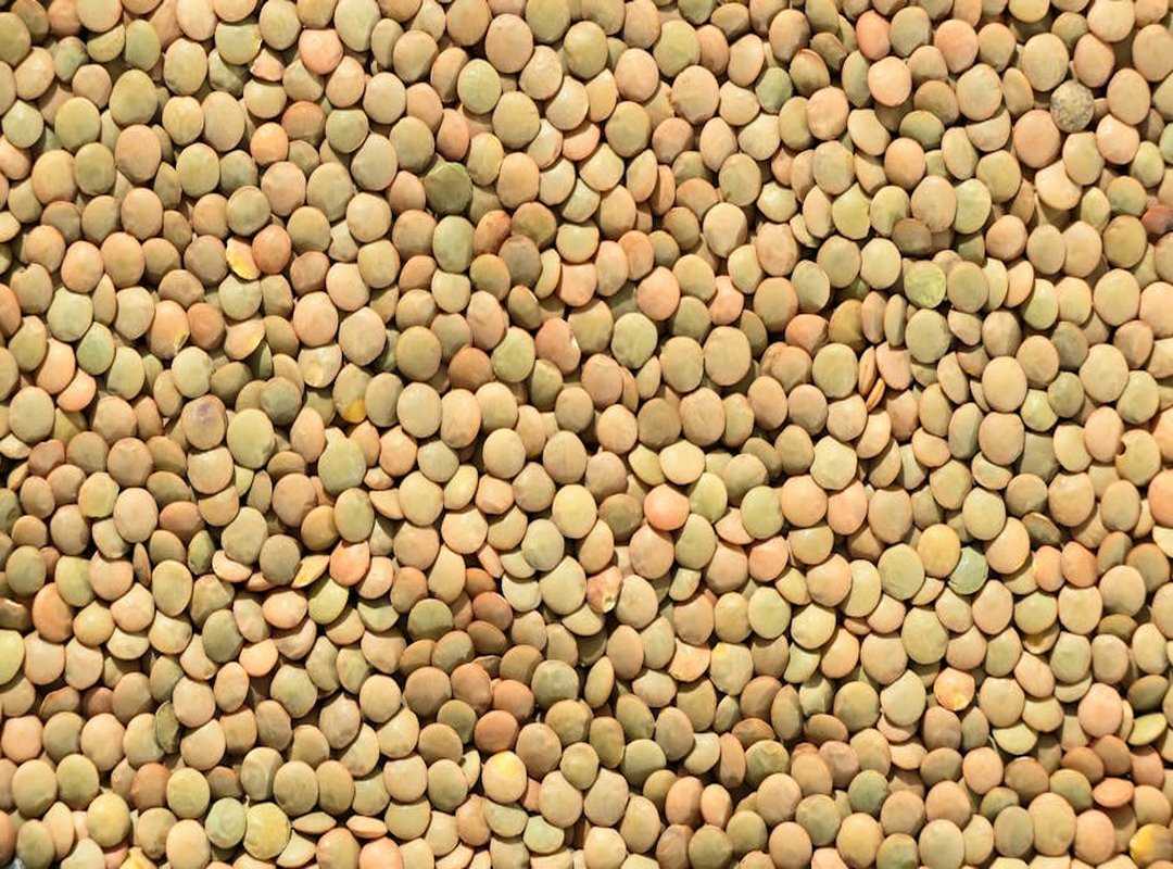 Fntkgym Gym Tips by Fitnesstalk