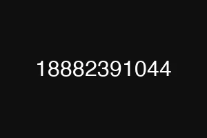 18882391044