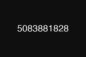 5083881828
