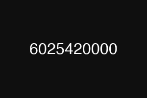 6025420000