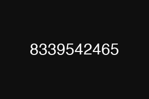 8339542465