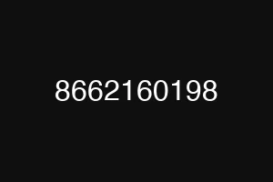 8662160198