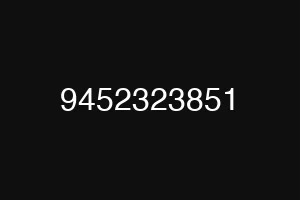 9452323851
