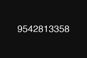 9542813358
