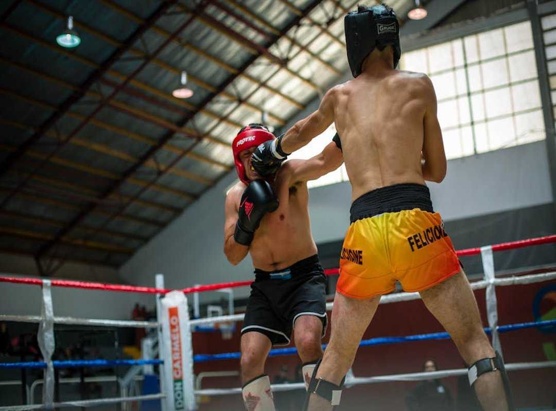 Zumoto Chieloka Boxer