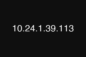 10.24.1.39.113