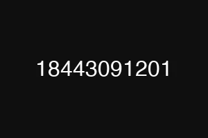 18443091201
