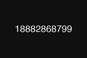 18882868799