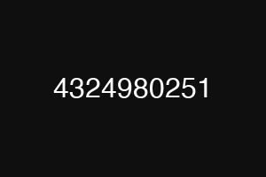 4324980251
