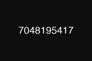 7048195417