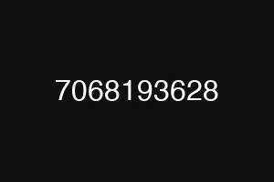 7068193628