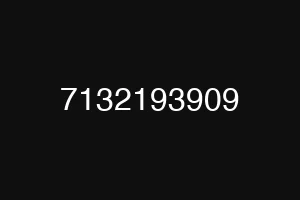 7132193909
