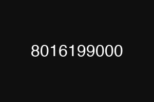 8016199000
