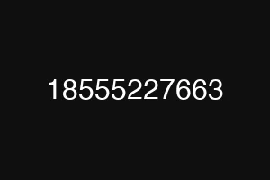 18555227663